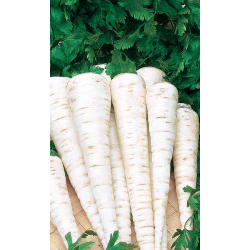 Семена Петрушка Пикантная - корневая 2гр (УД) Е/П