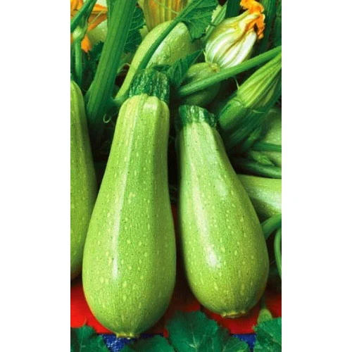 Семена Кабачок Грибовские 37 2гр (Марс) Б/П