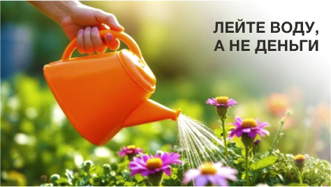 Лейте воду, а не деньги Лейте воду, а не деньги