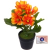 Цветочная композиция "Поцелуй лета" Космея оранжевая 20см