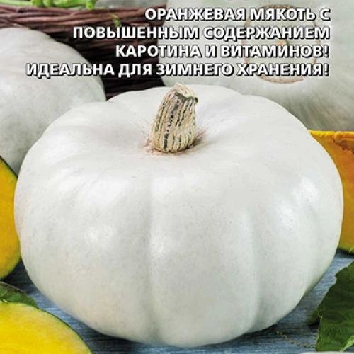 Семена Тыква Крупноплодная 1 5шт (УД) Е/П