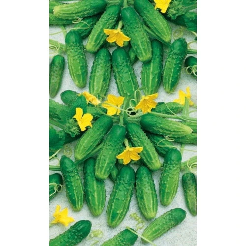 Семена Огурец Надежный 12шт (УД) Е/П