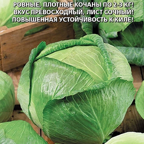 Семена Капуста белокочанная Лосиноостровская 8 0,3гр (УД) Е/П