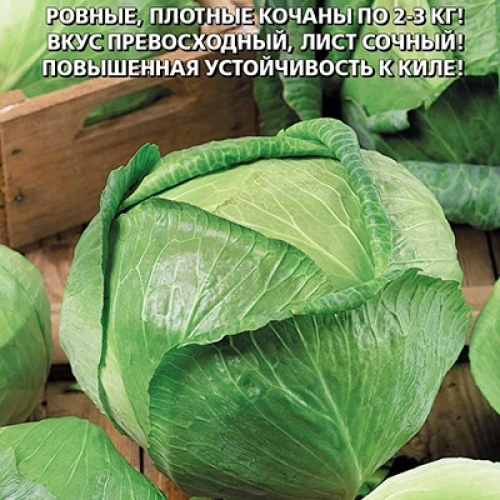 Семена Капуста белокочанная Лосиноостровская 8 0,3гр (УД) Е/П