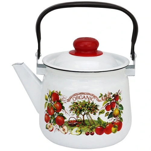 Чайник эмалированный 3,5л "Organic" 01-2713/4