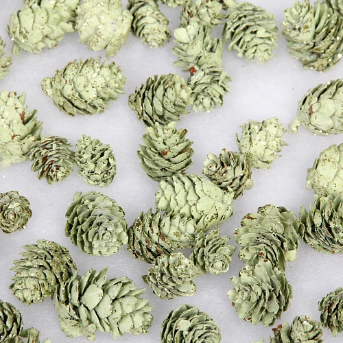 Композиция для декора Лесное удовольствие 111114 см (150 гр), зелёный_4