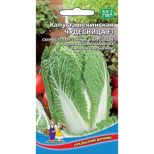 Семена Капуста пекинская Чудесница F1 0,1гр (УД) Е/П