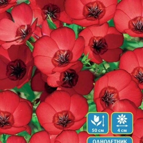 Семена Лен Красный рубин 0,2гр (УД) Е/П