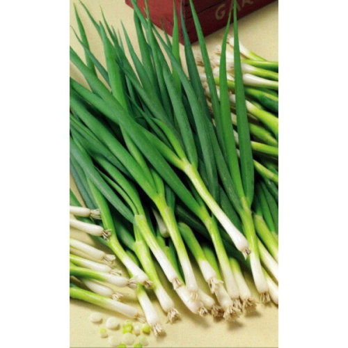 Семена Лук батун Троица 0,25гр (УД) Е/П