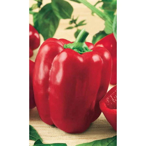 Семена Перец сладкий Гигант красный F1 20шт (УД) Е/П