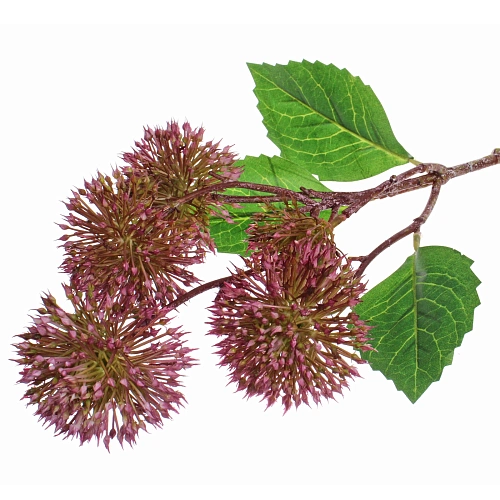 Цветок искусственный Natur 50см Каштан сиреневый_8