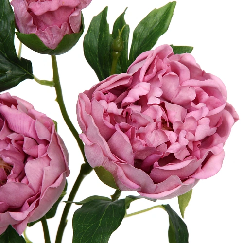 Цветок искусственный Natur 78см Пион сиреневый_3