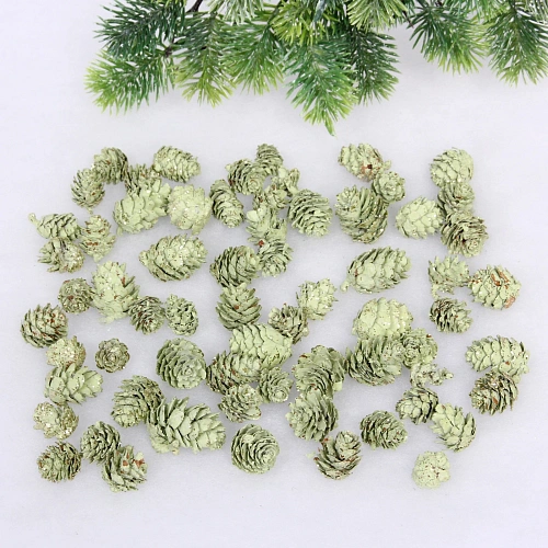 Композиция для декора Лесное удовольствие 111114 см (150 гр), зелёный_3