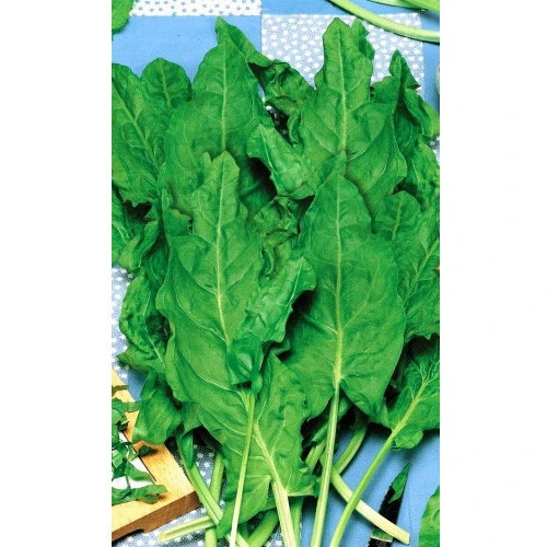 Семена Щавель Бабушкины пирожки 0,3гр (УД) Е/П