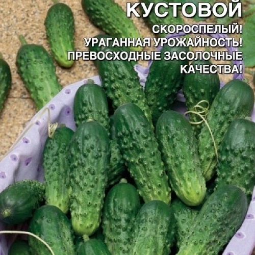 440d0f6a_897b_11e7_a60c_00224d8742ba_a635e844_9387_11e7_a60c_00224d8742ba.resize1