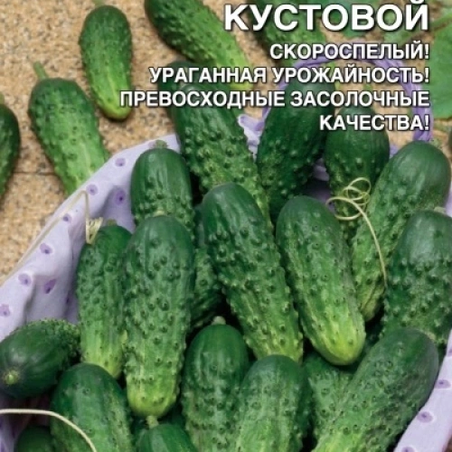 Семена Огурец Челябинский Кустовой 0,1 гр (Марс) Б/П