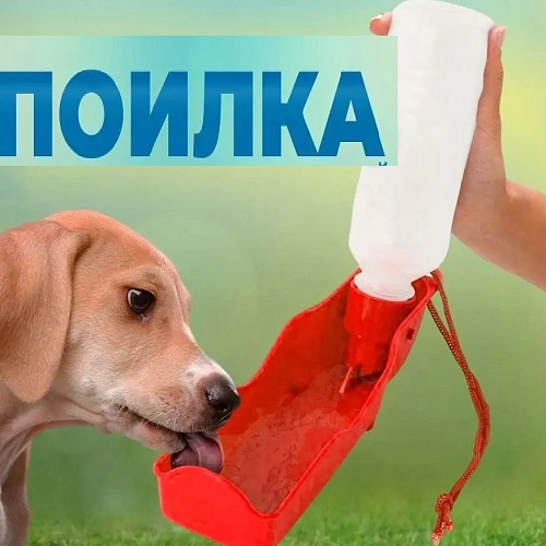 Поилка портативная прогулочная ЛЮБИМЫЙ БРО, цвет красный, 20см 250мл _4