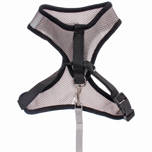 Шлейка с поводком 118см Sweet puppy размер ХL, цвет серый_5