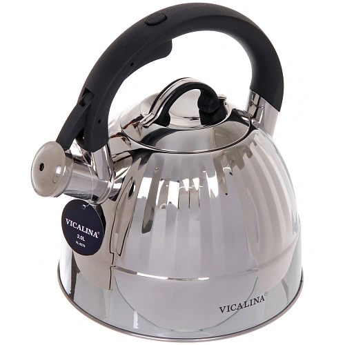 Чайник из нержавеющей стали 3л "Vicalina" VL-9275, матовый