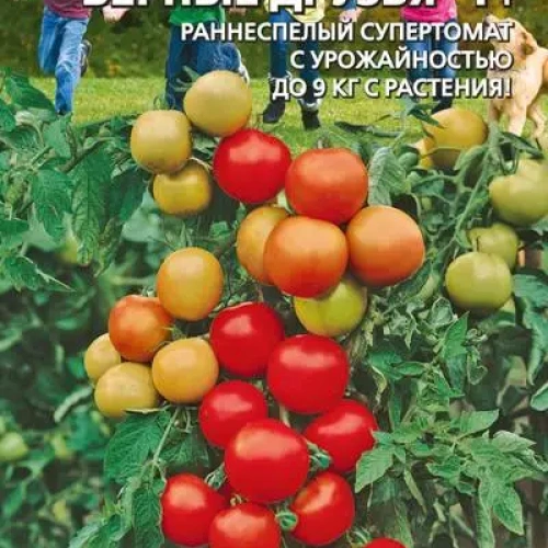 Семена Томат Верные друзья F1 12шт (УД) Е/П
