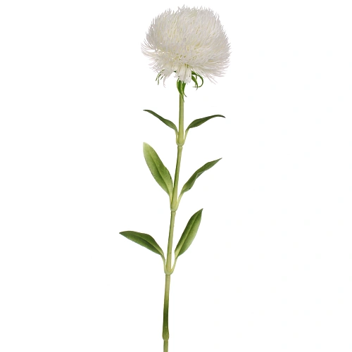 Цветок искусственный Natur 50см Кариофиллум белый_2